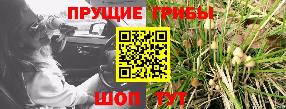 Бор  Галлюциногенные грибы Magic Shrooms  Вход с VPN 
