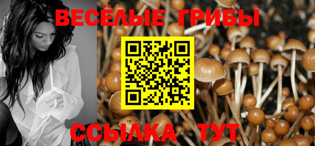 Псилоцибиновые грибы мицелий Бор